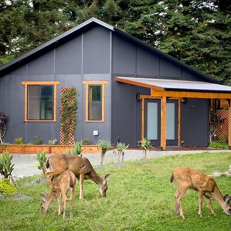 New, Modern, Country-Feel, Close To 阿克塔 外观 照片