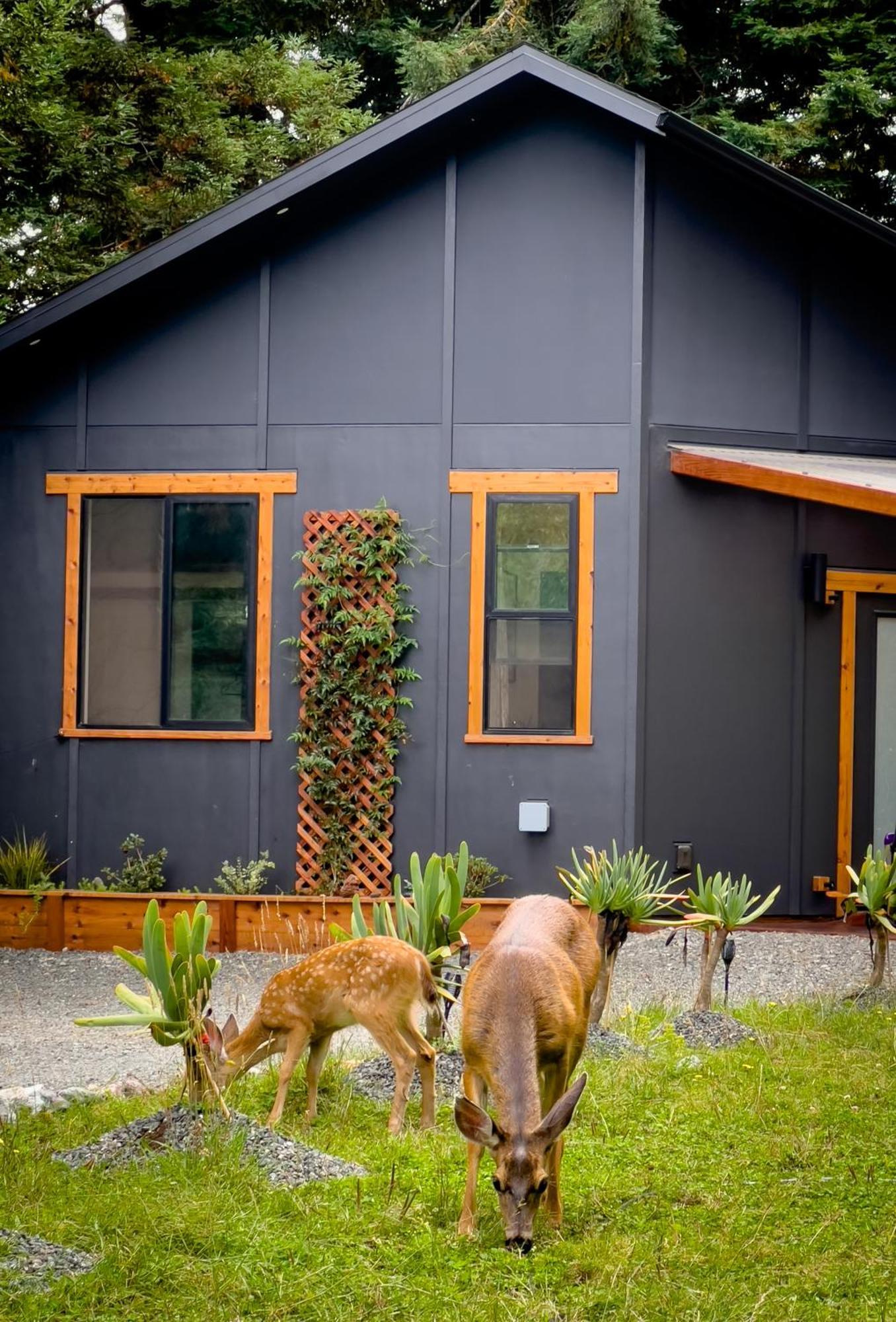 New, Modern, Country-Feel, Close To 阿克塔 外观 照片